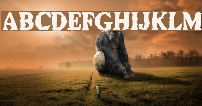 Durian Republik Font examples