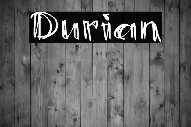 Durian Font examples