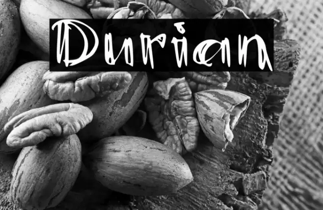 Durian Font examples