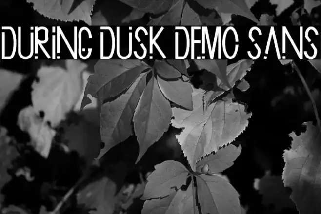 During Dusk Demo Sans Polices examples