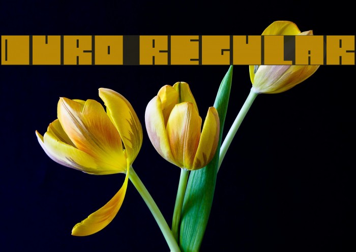 Duro Regular Font examples