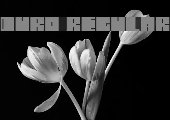 Duro Regular Example 1