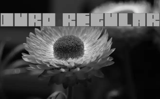Duro Regular Example 2