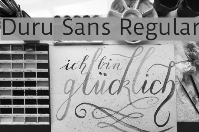 Duru Sans Regular Font examples