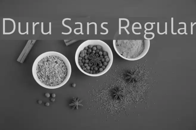 Duru Sans Regular Font examples