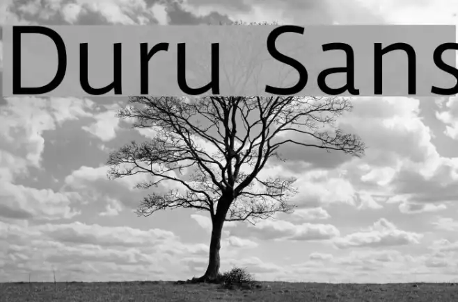 Duru Sans Example 1