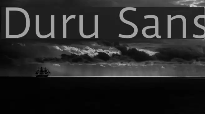 Duru Sans Example 2