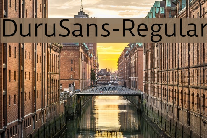 DuruSans-Regular Font examples
