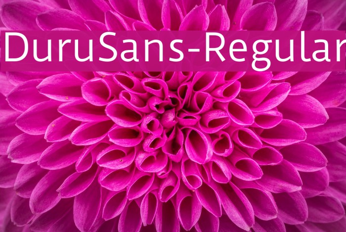 DuruSans-Regular Font examples