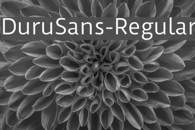 DuruSans-Regular Example 3