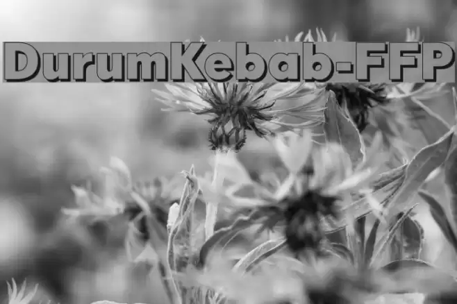 DurumKebab-FFP Font examples
