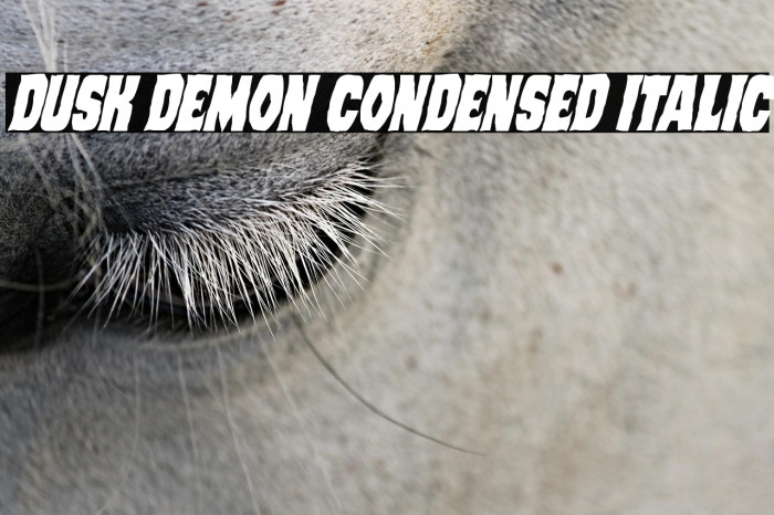 Dusk Demon Condensed Italic Example 3