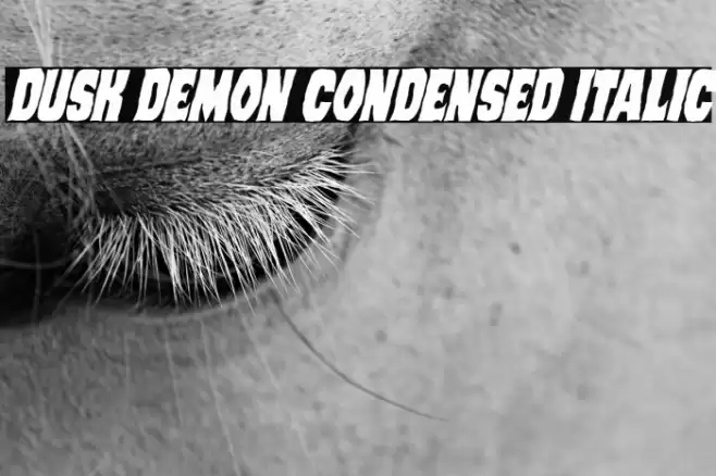 Dusk Demon Condensed Italic Font examples