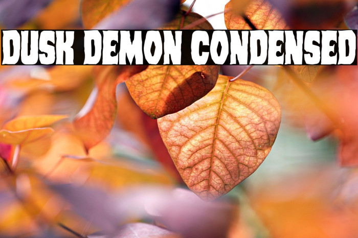 Dusk Demon Condensed Example 2