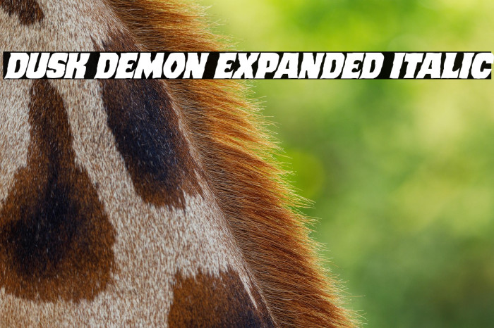 Dusk Demon Expanded Italic Example 2