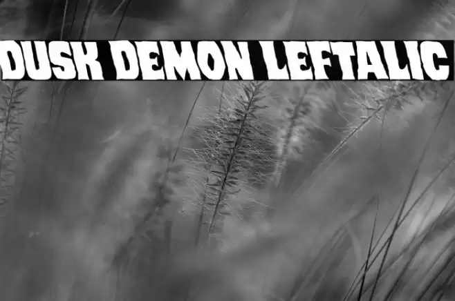 Dusk Demon Leftalic Font examples
