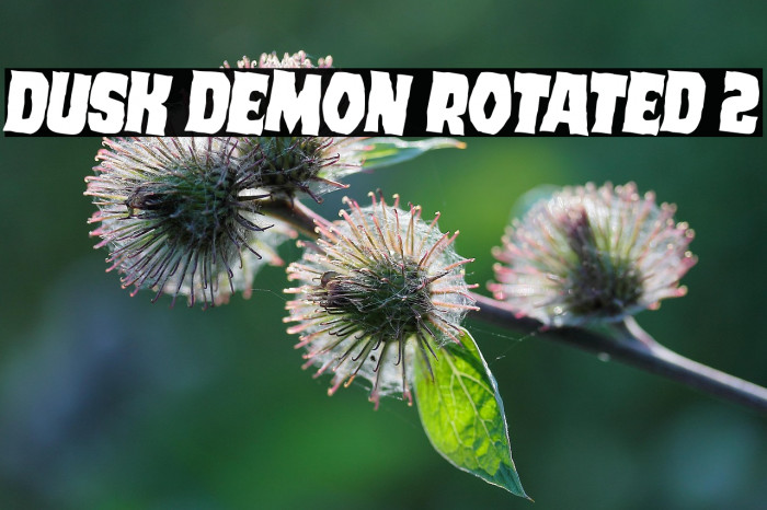 Dusk Demon Rotated 2 Example 2