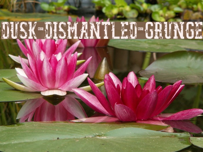 Dusk Dismantled Grunge Font examples