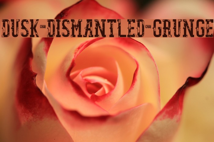 Dusk Dismantled Grunge Font examples