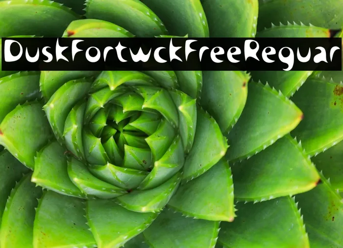 Dusk Fortwick Free Regular Example 1