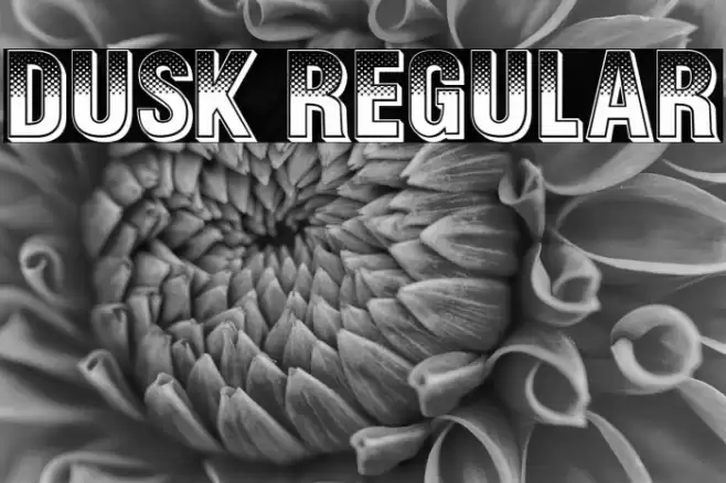 Dusk Regular Font examples