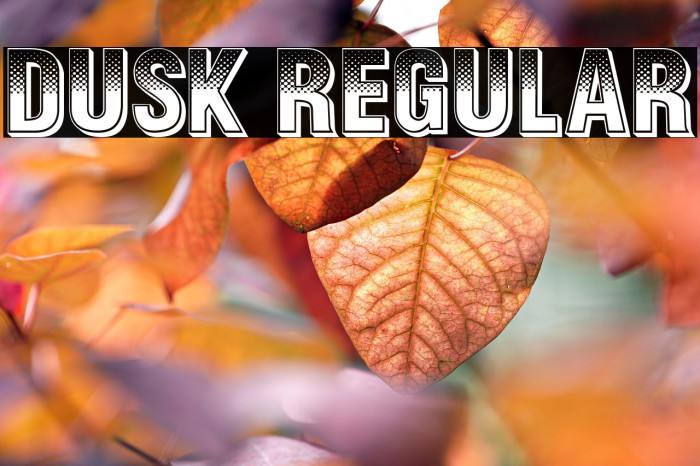 Dusk Regular Example 2