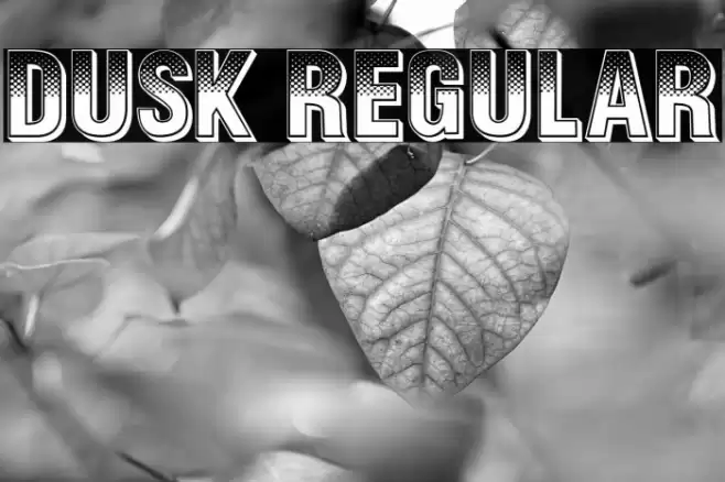 Dusk Regular Font examples