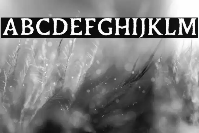 Duskey Free Rough Font examples