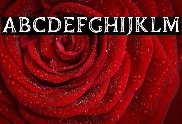 Duskey Free Stamp Example 2