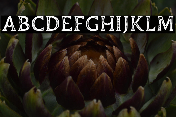 Duskey Free Stamp Example 3