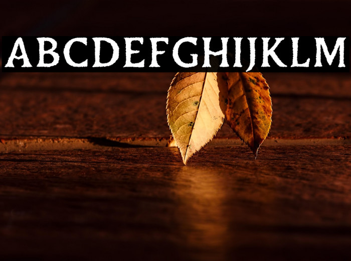 DuskeyFree-Rough Example 1