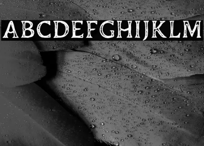 DuskeyFree-Stamp 字体 examples