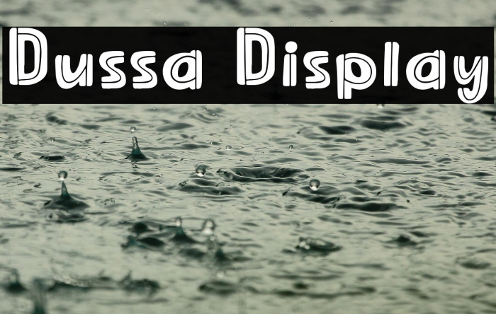 Dussa Display Example 1