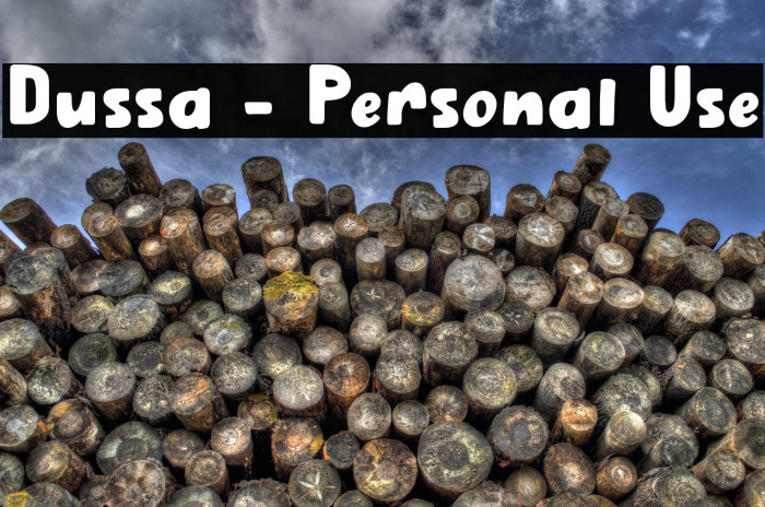 Dussa - Personal Use Example 1