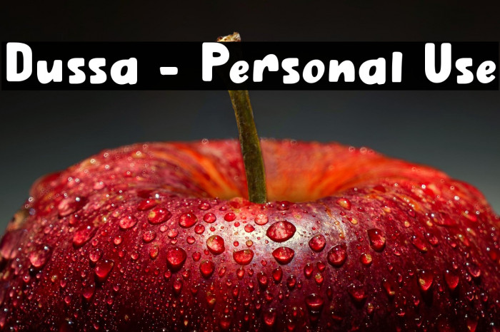Dussa - Personal Use Example 2