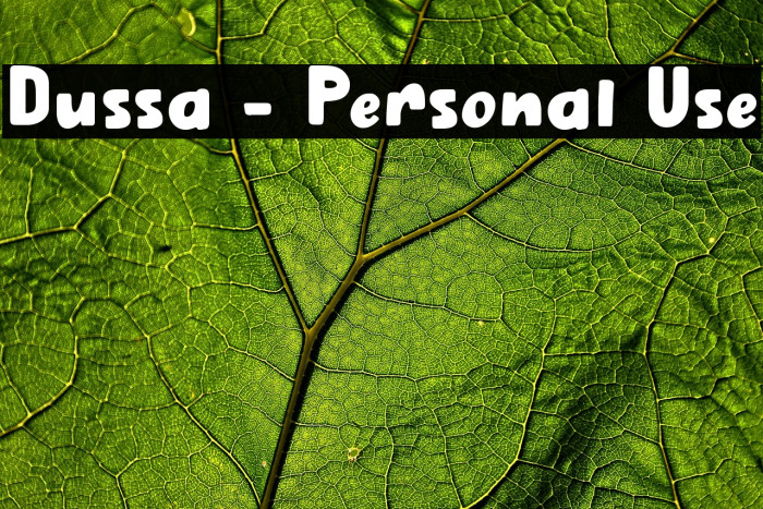 Dussa - Personal Use Example 3