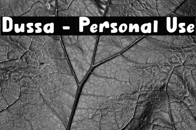 Dussa - Personal Use Font examples