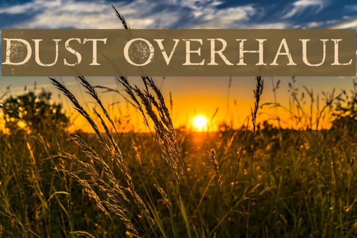 Dust Overhaul Example 1