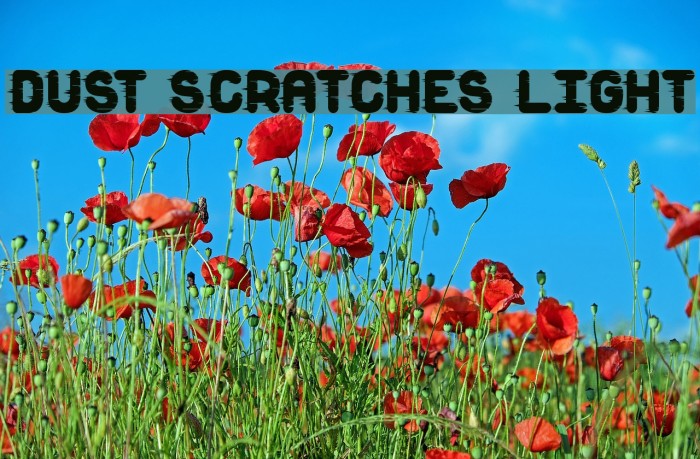 Dust Scratches light Шрифта examples