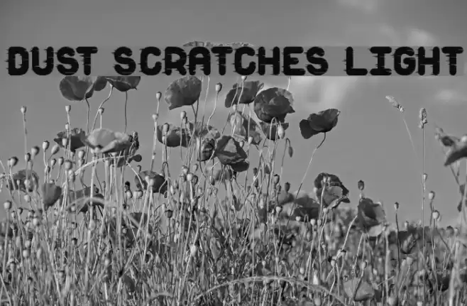 Dust Scratches light Шрифта examples