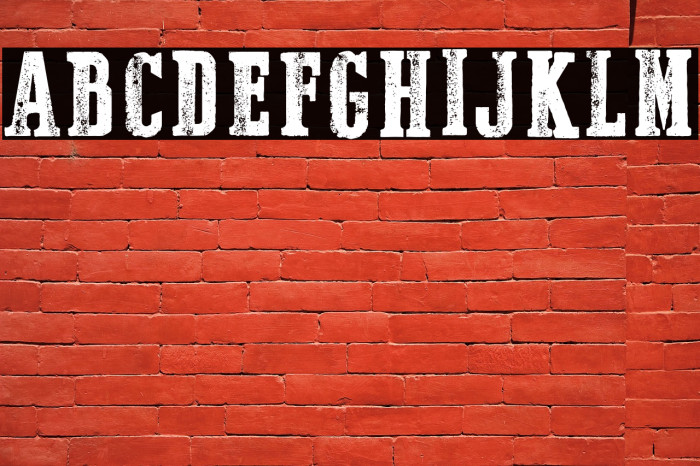 Dust West Italic Example 2