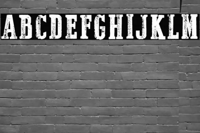 Dust West Italic Font examples