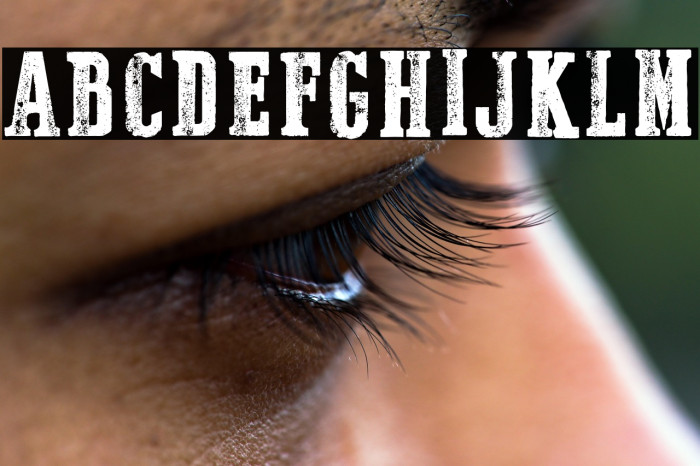 Dust West Italic Example 3