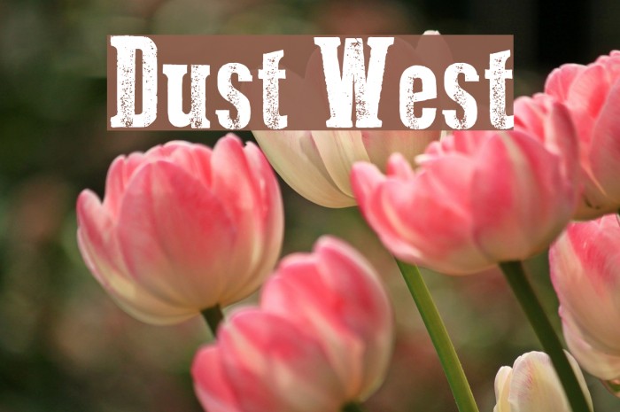 Dust West Font examples