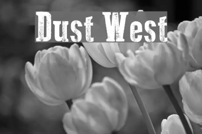 Dust West Example 1