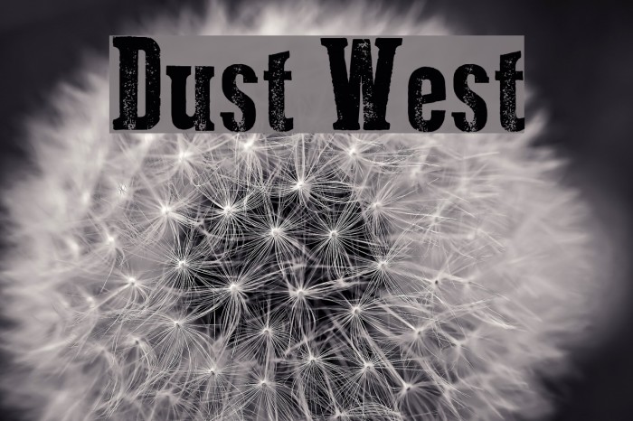 Dust West Font examples