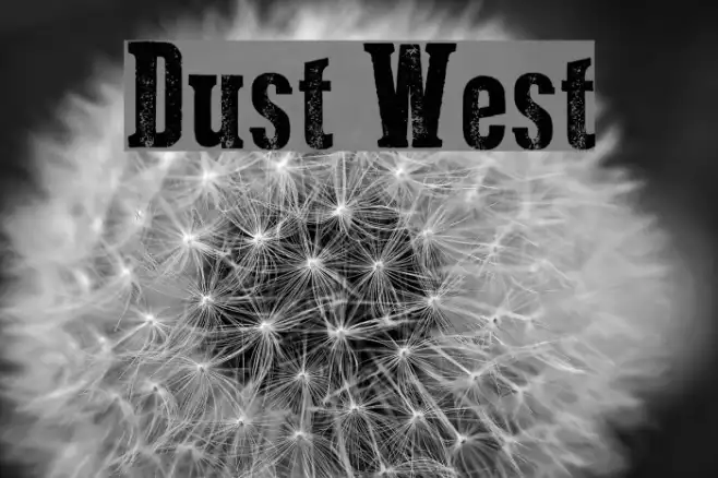 Dust West Example 2