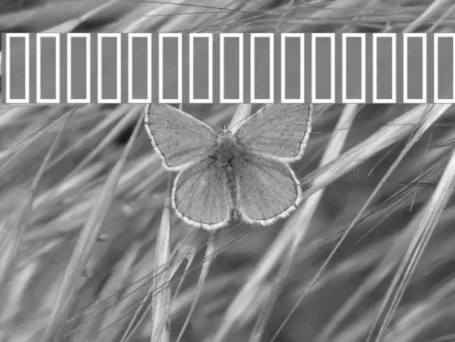 DustHome Medium Font examples