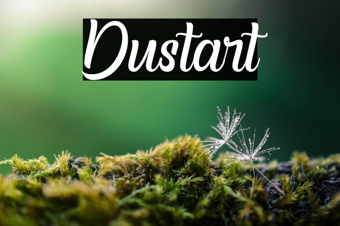 Dustart Example 1
