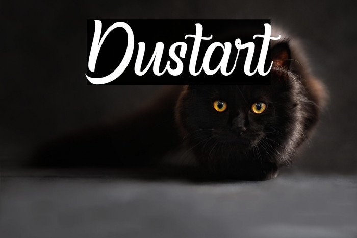 Dustart Example 3